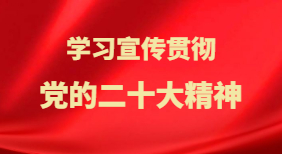學(xué)習(xí)宣傳貫徹黨的二十大精神